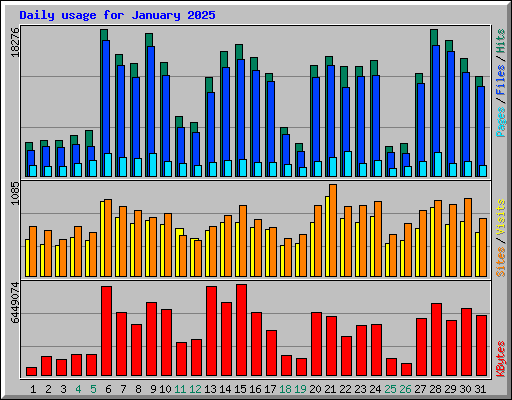 Daily usage for January 2025