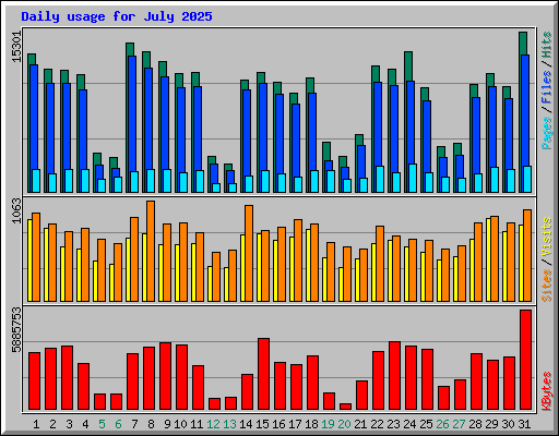Daily usage for July 2025