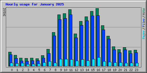 Hourly usage for January 2025