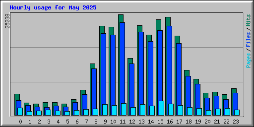 Hourly usage for May 2025